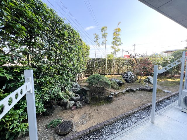 ミラドールの展望