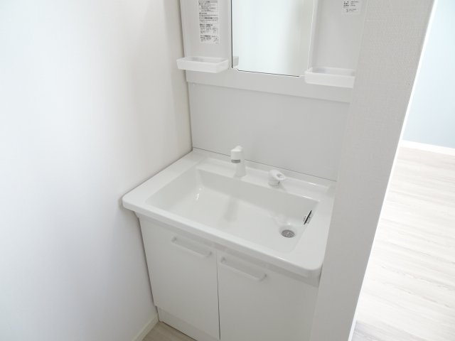 第3メゾンドラポールの独立洗面台