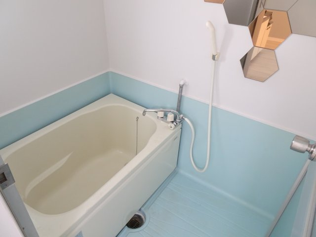 第3メゾンドラポールの浴室