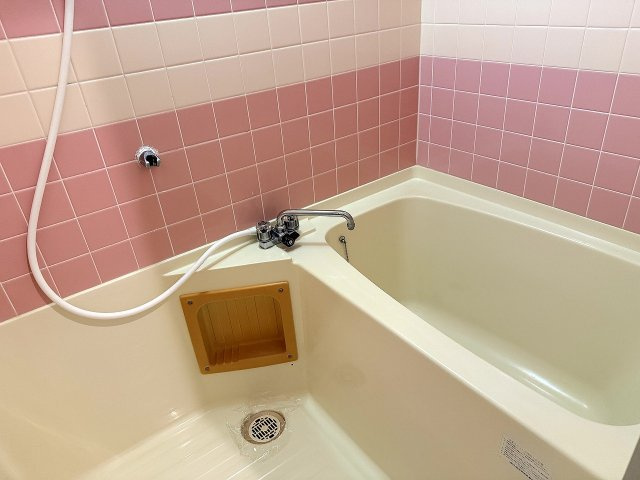 ハイツメルシーの浴室