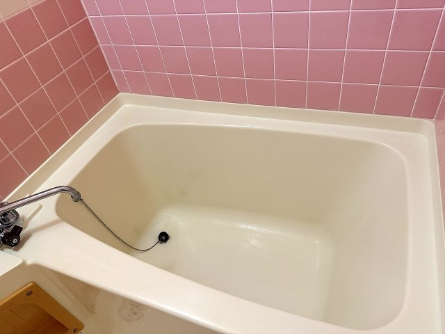 ハイツメルシーの浴室