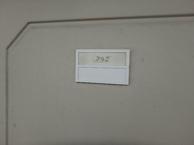 【その他】 | パステルⅡ