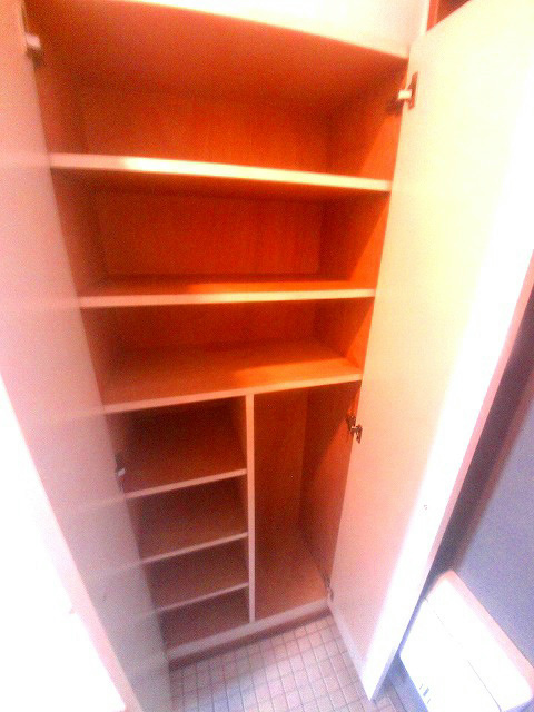 マンションアムールの収納