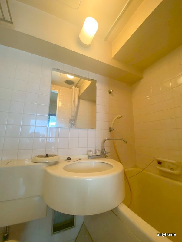 グランドメゾン西心斎橋　仲介手数料無料の洗面所