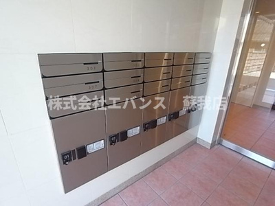  | ニングーナ・パルテIN SOGA