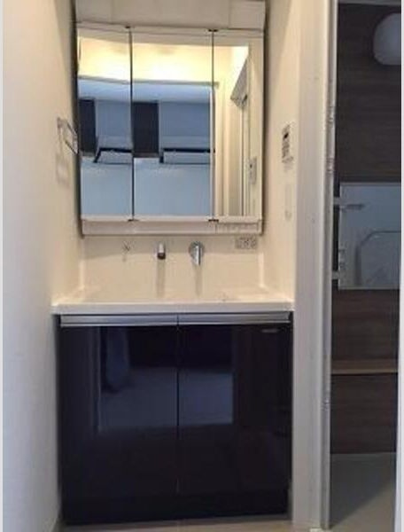 セレニティー金山の洗面所