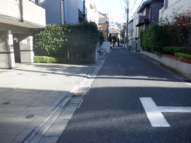 菱和パレス白金台のその他|前面道路