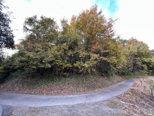 【その他】 | 小垣内竹林