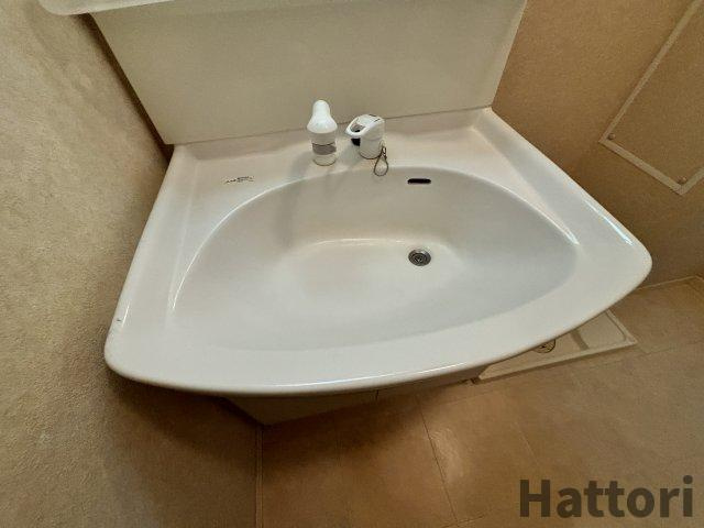 ミラベルの洗面所