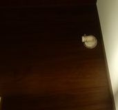 アーバンプレイス中野XⅢ（アーバンプレイスナカノ13）の設備|室内洗濯機置場☆(同一仕様写真)