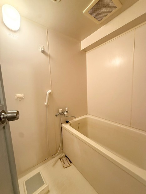 デルックス西大島の浴室