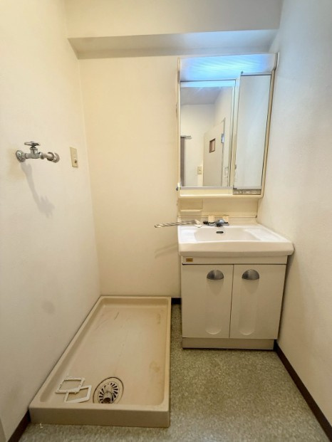 デルックス西大島の洗面所