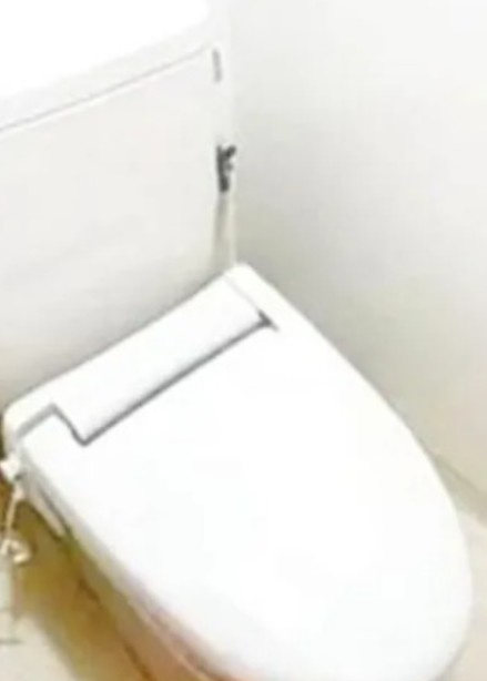 デルックス西大島のその他