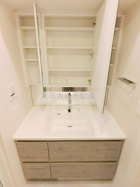 ブランシエスタ西馬込ブランシエスタニシマゴメの洗面所|洗面脱衣所　鏡内収納スペース付き