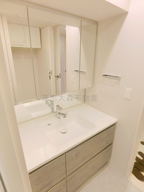 ブランシエスタ西馬込ブランシエスタニシマゴメの洗面所