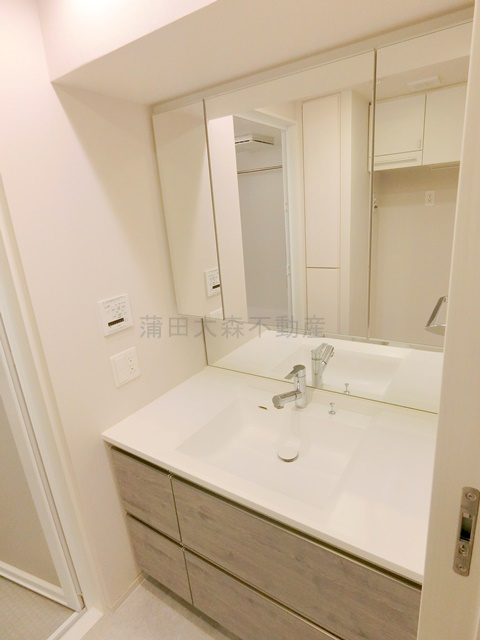 ブランシエスタ西馬込ブランシエスタニシマゴメの洗面所