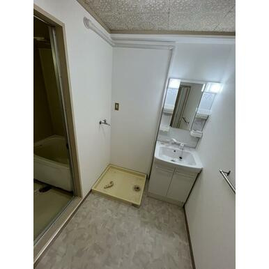 アルパ芦屋の洗面所