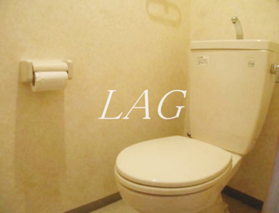 【トイレ】 | グランシャリオＮ | トイレです。