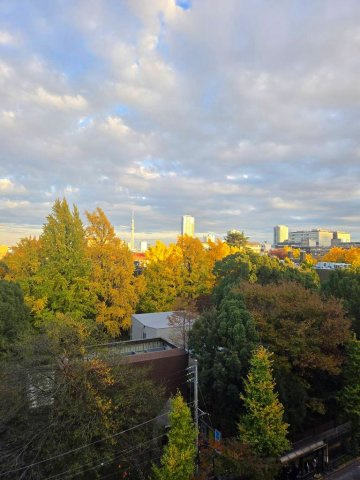 本郷エーワン東大前の展望