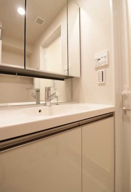 BluRock青葉台　礼金0　築浅　ペット相談の洗面所