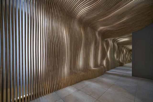 ｔｈｅ　ｔｒｉａｓ　ｋａｓｈｉｗａのその他共用部分|インスタ映えします。 