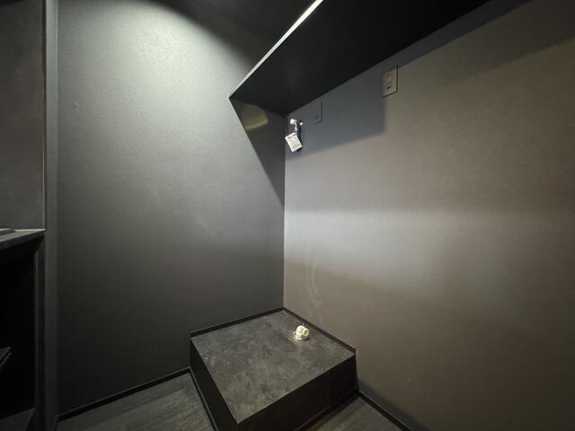 ｔｈｅ　ｔｒｉａｓ　ｋａｓｈｉｗａの内装|室内に洗濯機が設置可能 