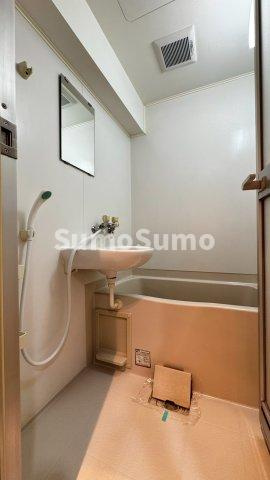 ロマネスク日赤通りの浴室