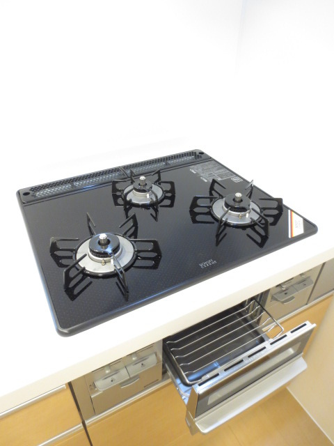 ウチカイトのその他