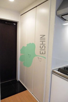 【玄関】 | アクタス博多Ｖタワー(アクタス博多ブイタワー) | 下駄箱もしっかりついてます！