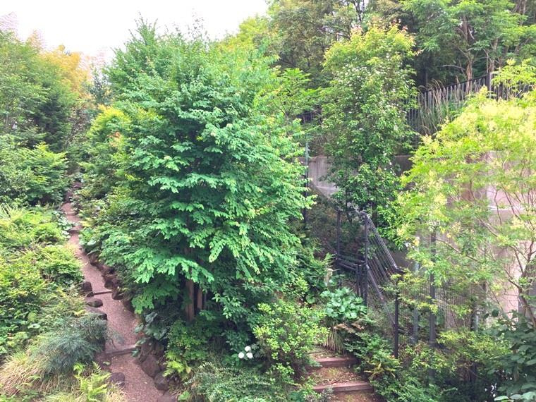 マスターアリーナ新百合ヶ丘の展望