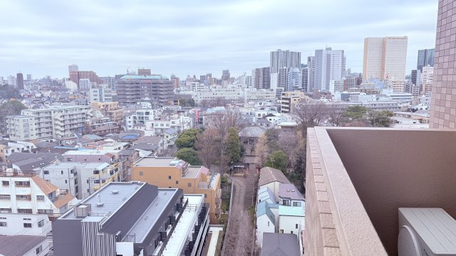 ★仲介手数料無料★モリス大井町南(駅前再開発で便利になる大井町が徒歩圏内）の展望