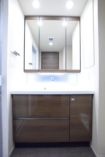 ＢｒｉｌｌｉａＴｏｗｅｒｓ目黒ノースレジデンスの洗面所