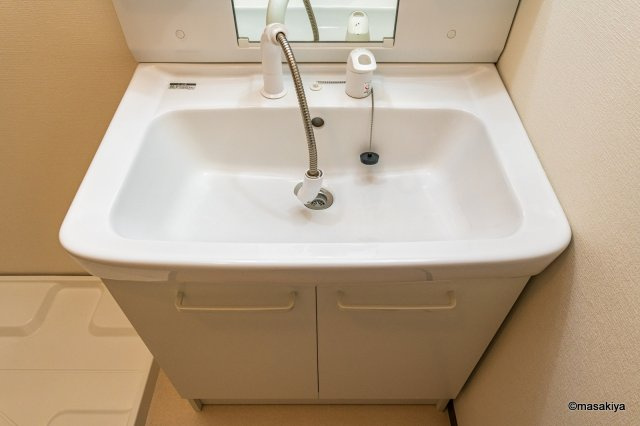 ロイヤル・ウイング　Bの洗面所|洗面・脱衣　シャンプードレッサー付き。