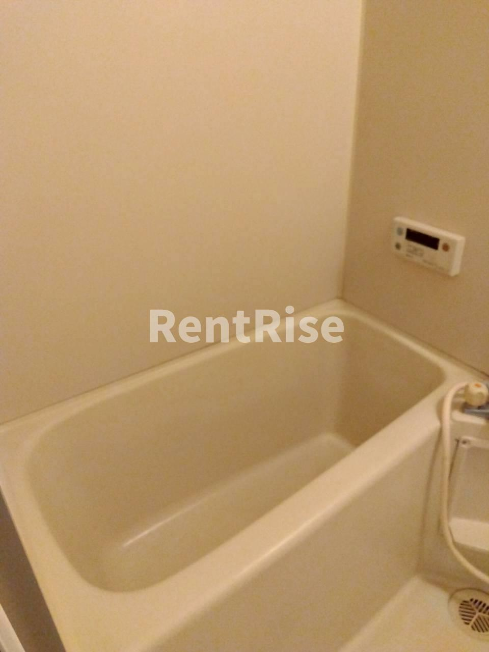 SurplusOne大島の庭