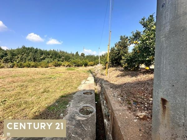 海南市九品寺　土地のその他