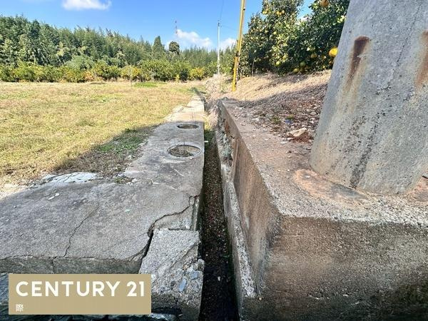 海南市九品寺　土地のその他