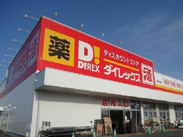 スモールウッズタウンＴＯＭＯⅢの周辺|ダイレックス高木瀬店まで1200m