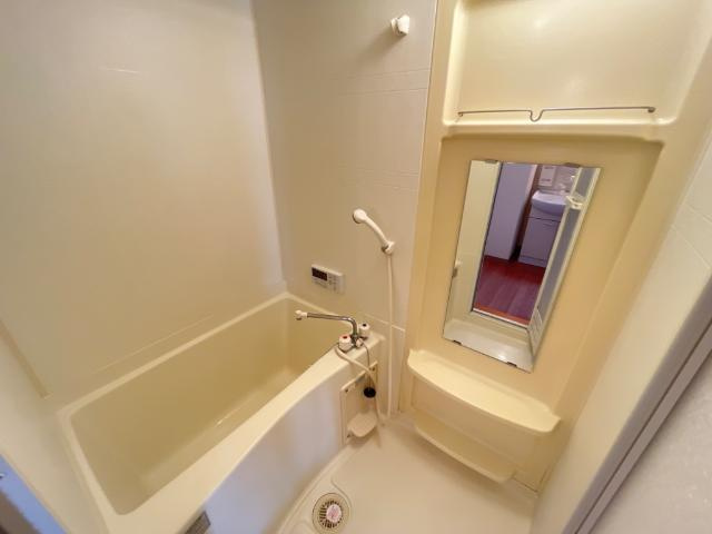 ルミエール　シャトーの浴室|バス