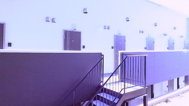 ロイヤルコート