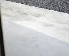 オルテンシアＣの庭