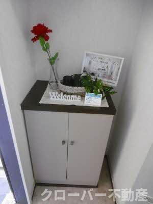 コスモタウン森岡 D棟の玄関