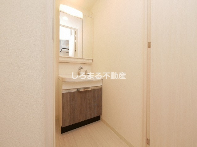 プレサンス南堀江ザ・センスの洗面所