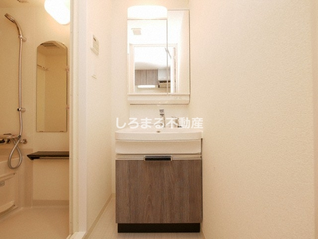 プレサンス南堀江ザ・センスの洗面所