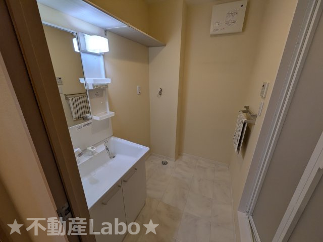 プロヌーブ北島の洗面所