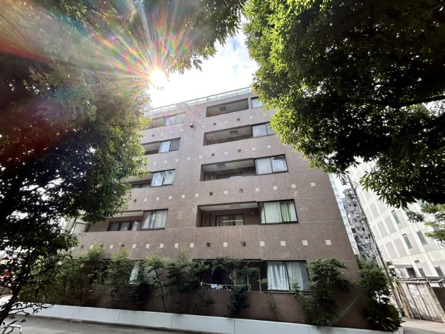 エバーグリーンパレス新宿の外観|マンションの隣の公園から撮影しました。