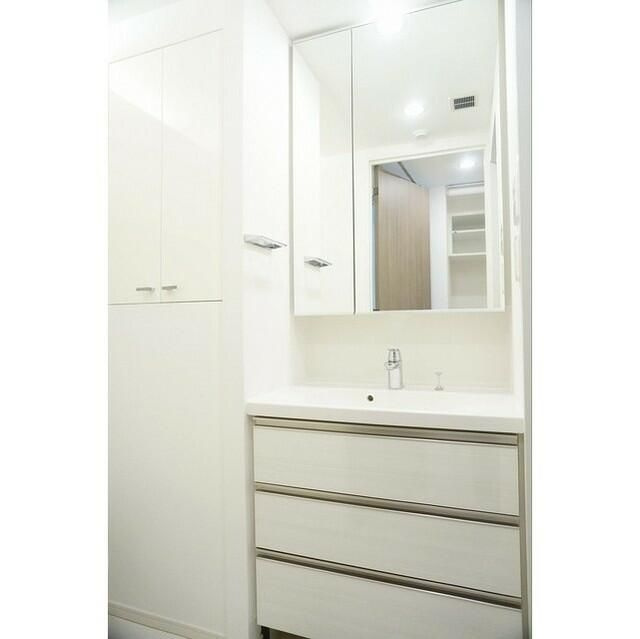 ウィルテラス滝野川の洗面所