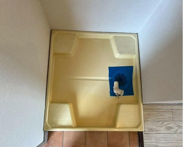 エバーグレイス分倍のその他