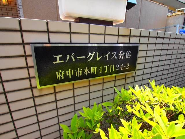 エバーグレイス分倍のその他