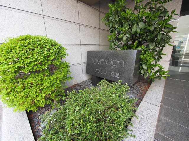 【その他】 | ソブリン洗足