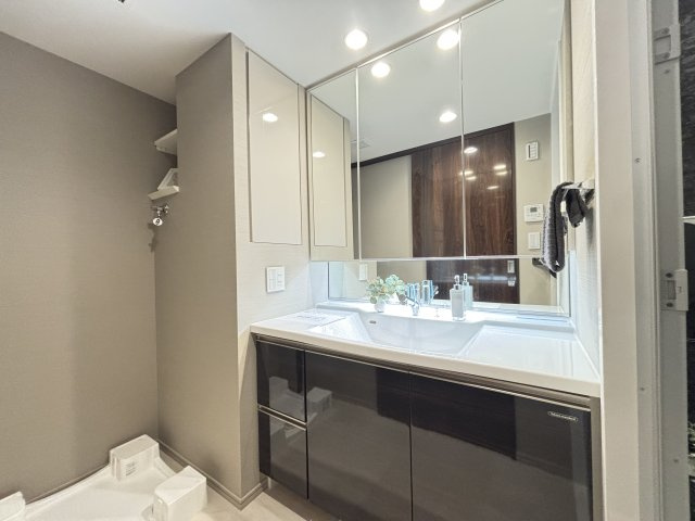 シティタワーズ東京ベイセントラルタワーの独立洗面台